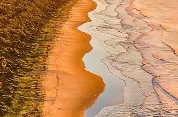 如何鉴别粉象生活