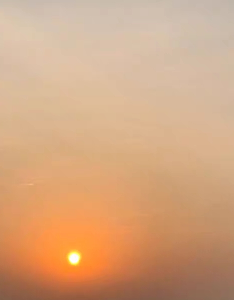 粉象生活赚钱教程