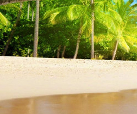 粉象生活可以赚钱吗