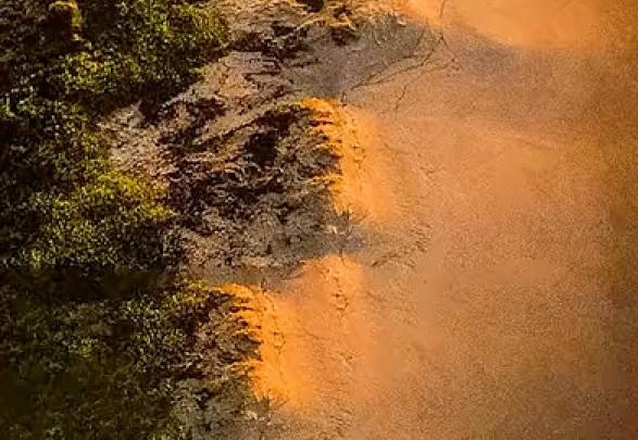 粉象生活升级后大概几天才看到收入