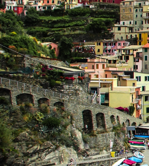 粉象生活新人邀请