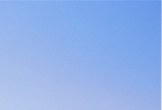 粉象生活下载app