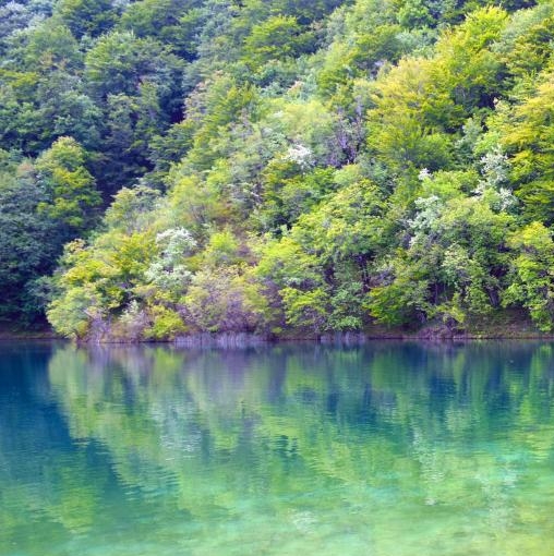 酒泉粉象生活app