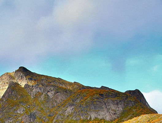 粉象生活的会员