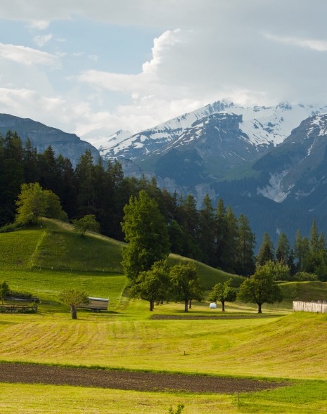 粉象生活下载app