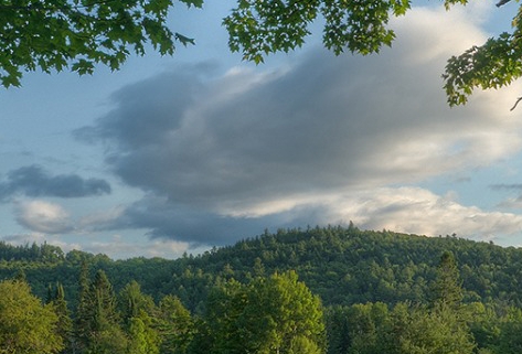 粉象生活怎么赚钱的