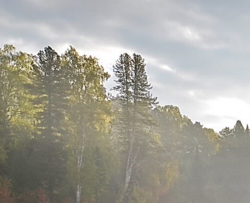 粉象生活什么时候开始推广的