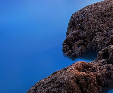 粉象生活赚钱课程