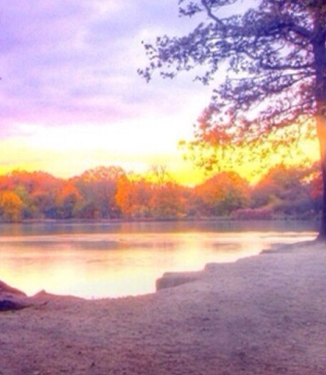 粉象生活是个什么东西