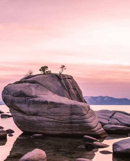 粉象生活是做什么的