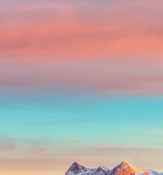 粉象生活营销短信