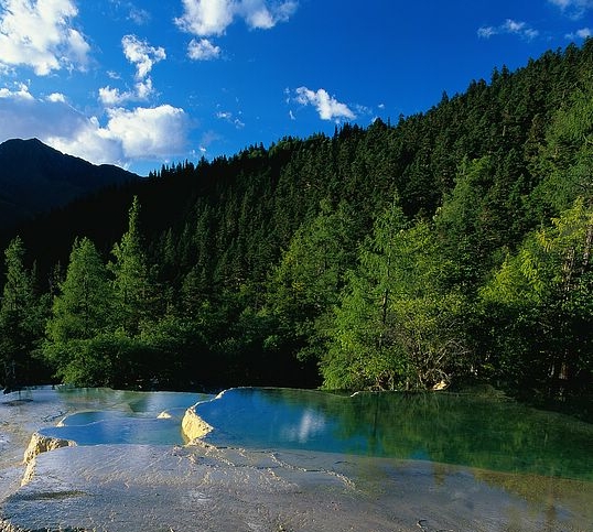 咸鱼淘宝粉象生活