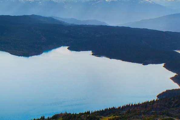 粉象生活赚钱教程