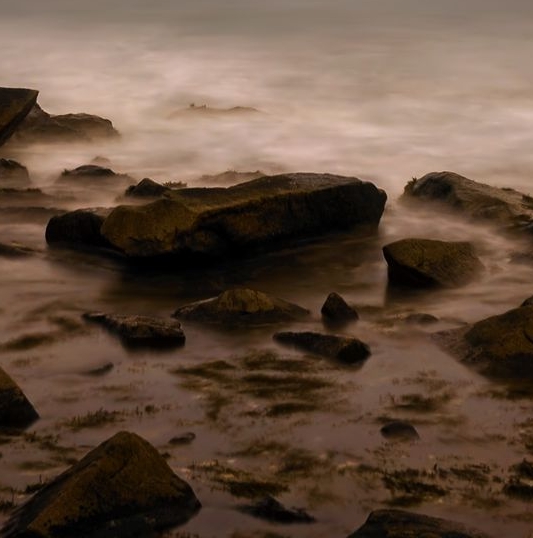 粉象生活创业图片