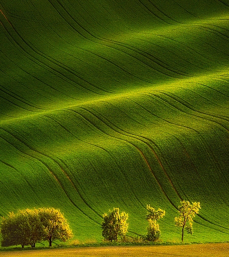 粉象生活10000粉丝