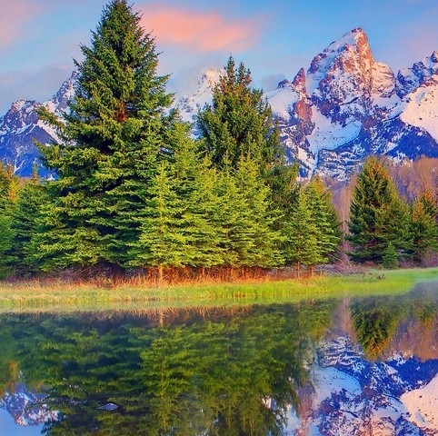 粉象生活app下载安装官方