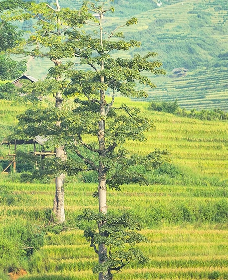 粉象生活邀请码