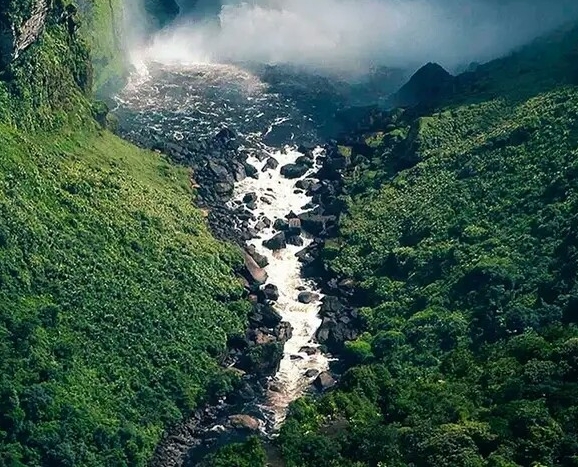 成都本地生活网