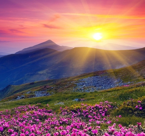 怎么注销粉象生活的账号