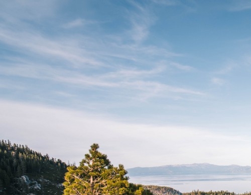 粉象生活数据结算