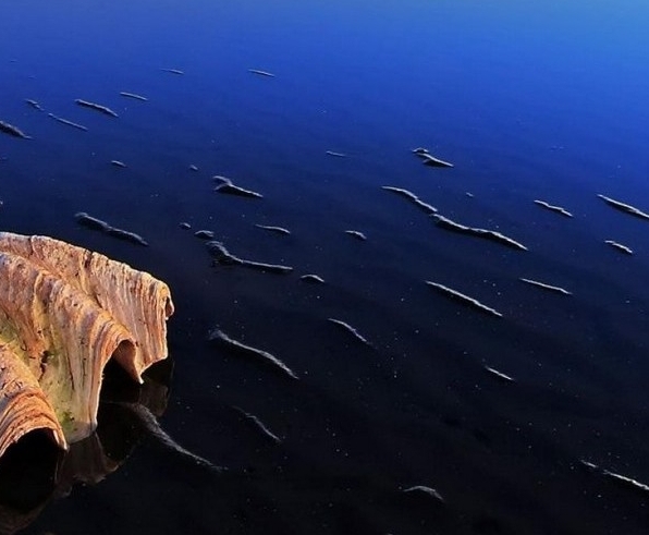 粉象生活无法打开