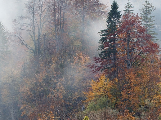 粉象生活天天开大奖