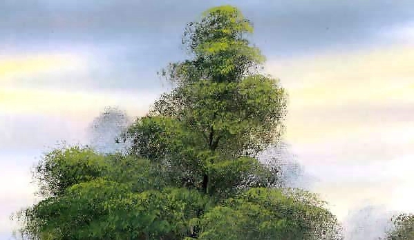 粉象生活怎引流