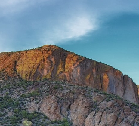 粉象生活下载app