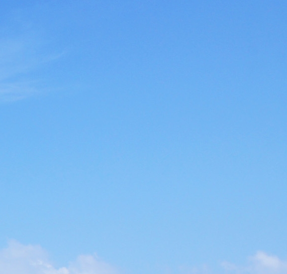 粉象生活新手怎么做