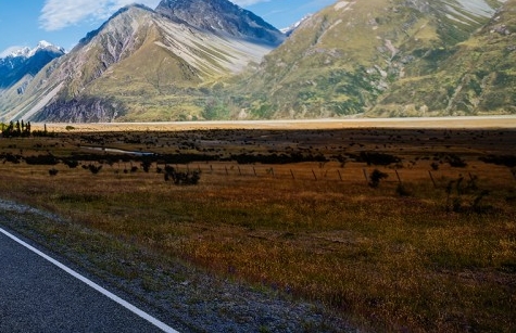 注册粉象生活有风险吗