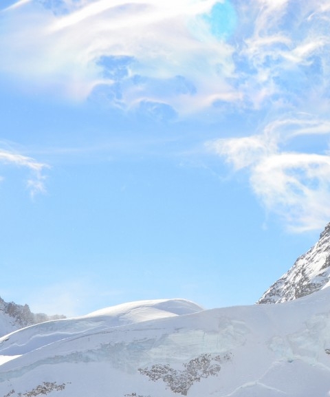 粉象生活怎么赚钱