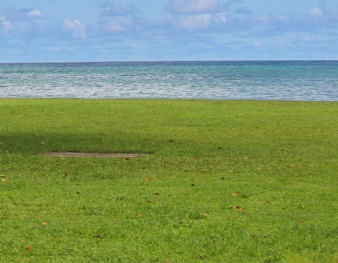 兼职副业粉象生活