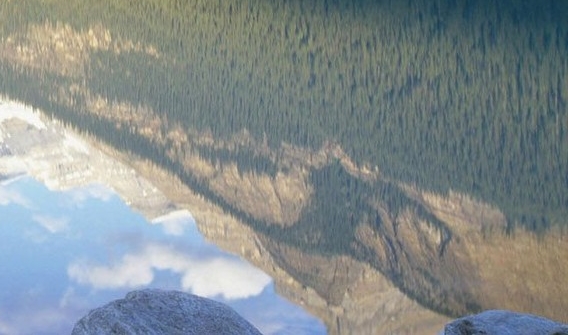 粉象生活有哪些赚钱的方法