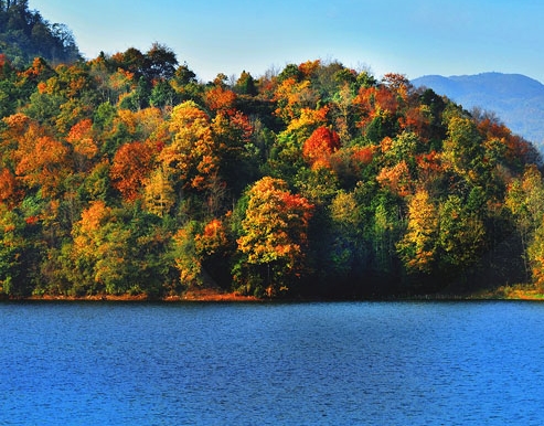粉象生活怎么赚钱的