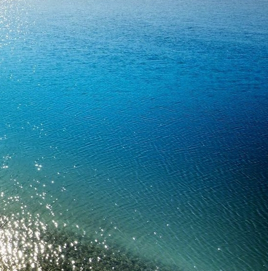 粉象生活怎么入门