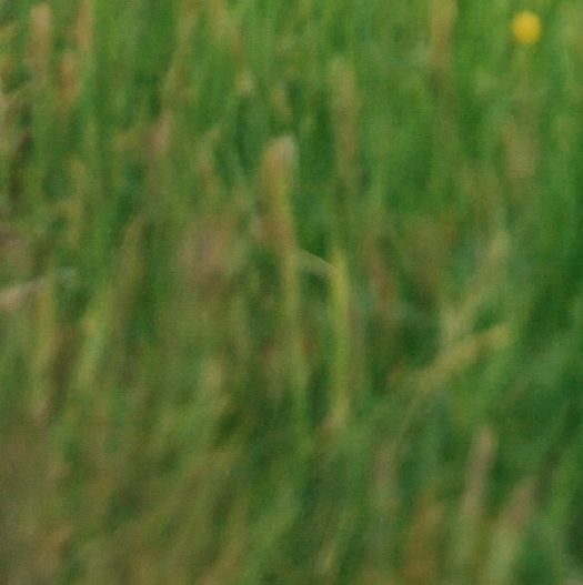 苏州粉象生活推广