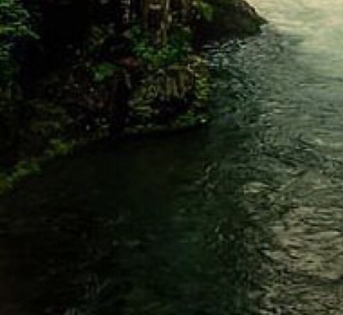 生活中的日历图片