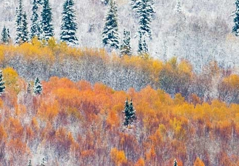 粉象生活的地理