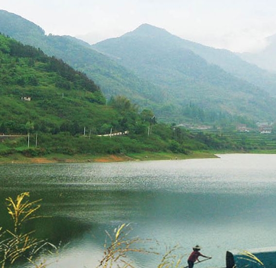 粉象生活新手怎么做