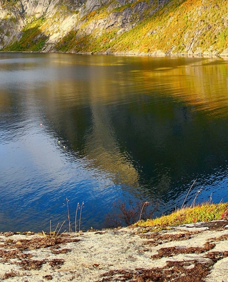 福建口碑粉象生活邀请人