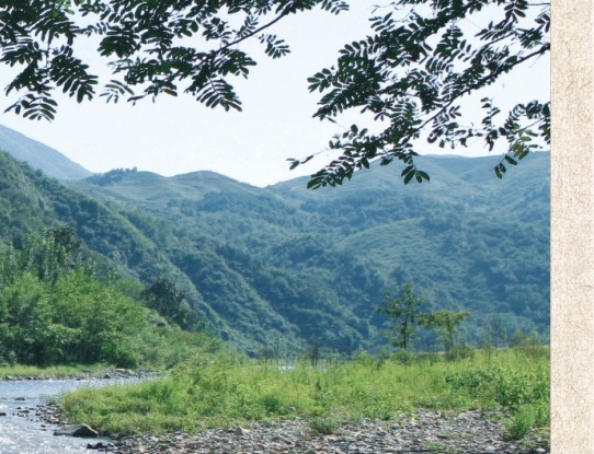 粉象生活升级后大概几天才看到收入