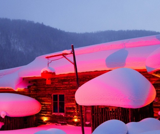 粉象生活官网app下载