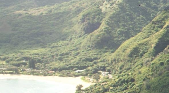 粉象生活