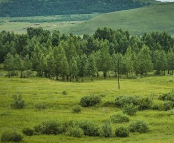 网上购物粉象生活