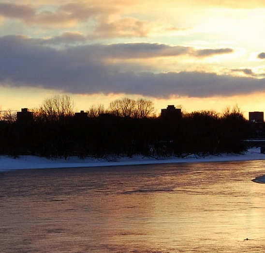 正规粉象生活兼职