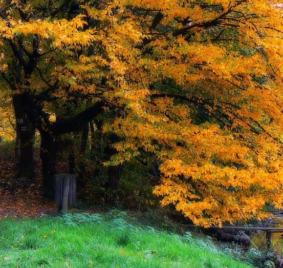 有没有必要开通粉象会员