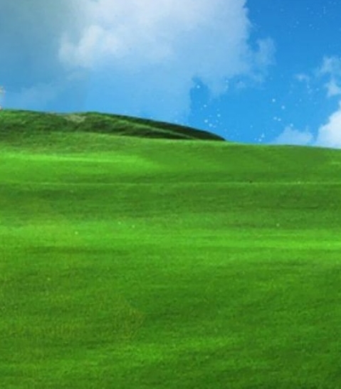 粉象生活真实收入