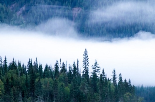 脱贫攻坚粉象生活