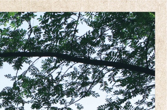 粉象生活赚钱体系