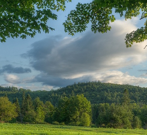 萍乡生活消费水平